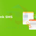 How Does Smart Link SMS Services Work?